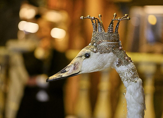 Сказочное пространство Легендарий: необычный музей в Минске
