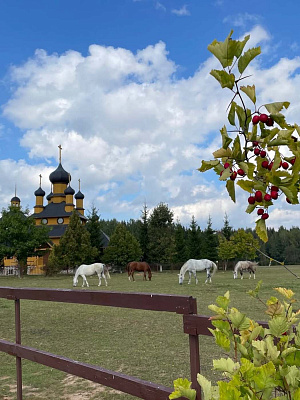 Музеи под открытым небом недалеко от Минска: где почувствовать настоящую Беларусь