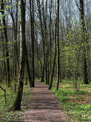 Ботанический сад