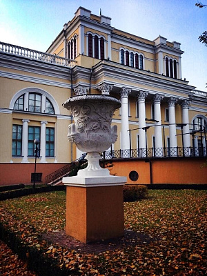 Дворец Румянцевых-Паскевичей