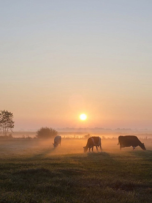 Браславские озера