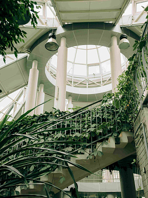 Ботанический сад