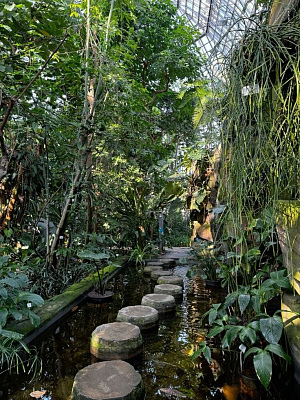 Ботанический сад