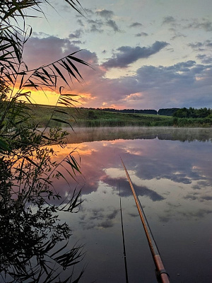 Лучшие места для рыбалки в Беларуси: озера, реки и водохранилища