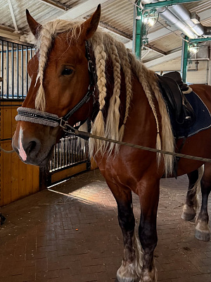 Музеи под открытым небом недалеко от Минска: Наносы-Новоселье