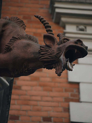 Музей-Усадьба Козелл-Поклевских