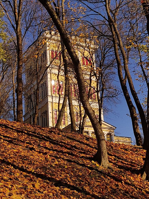 Дворец Румянцевых-Паскевичей