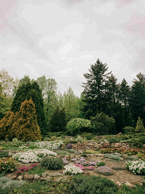 Ботанический сад