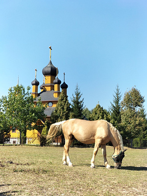 Музеи под открытым небом недалеко от Минска: Дудутки