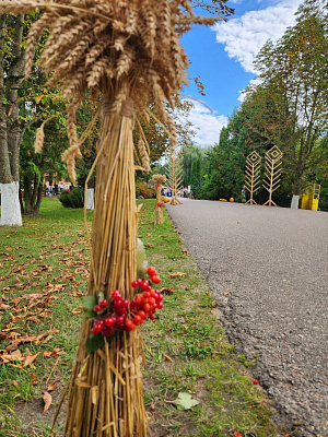 Музеи под открытым небом недалеко от Минска: Дудутки