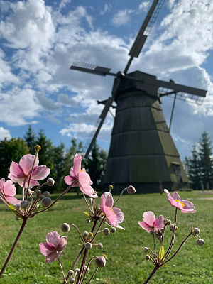 Музеи под открытым небом недалеко от Минска: Дудутки