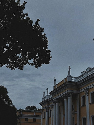 Дворец Румянцевых-Паскевичей