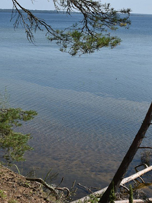 озеро Нарочь